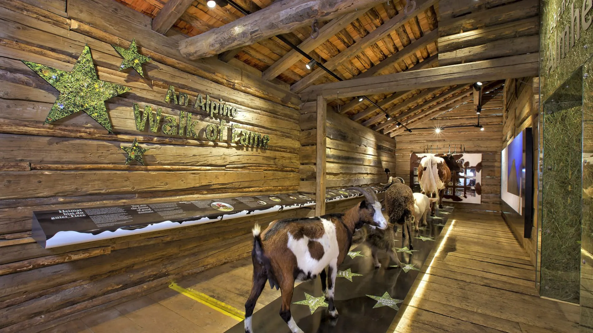 Holzverkleideter Innenraum mit Ausstellungsstücken und Ziegen
