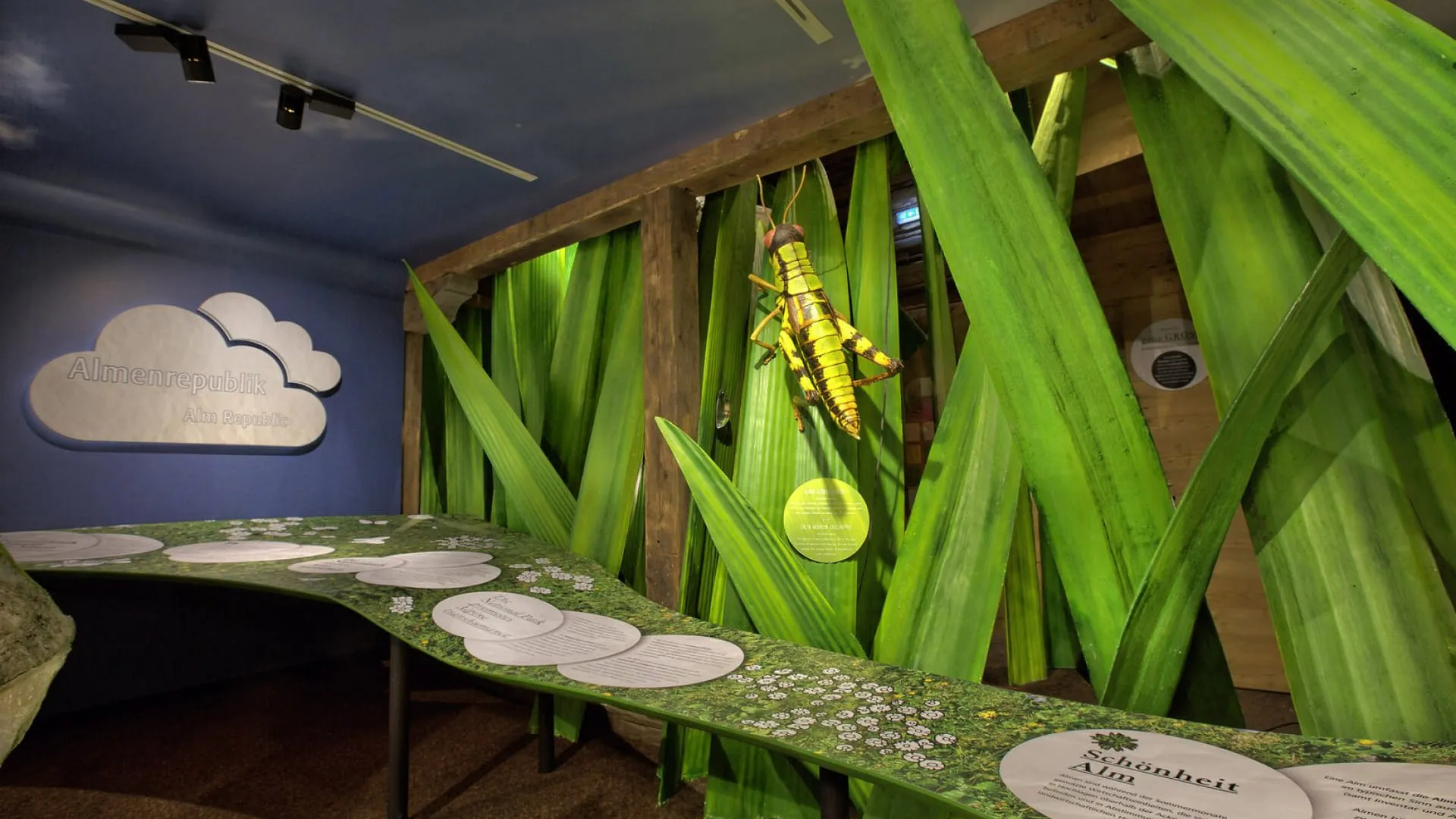 Interieur mit grünen Pflanzen und informativem Tisch