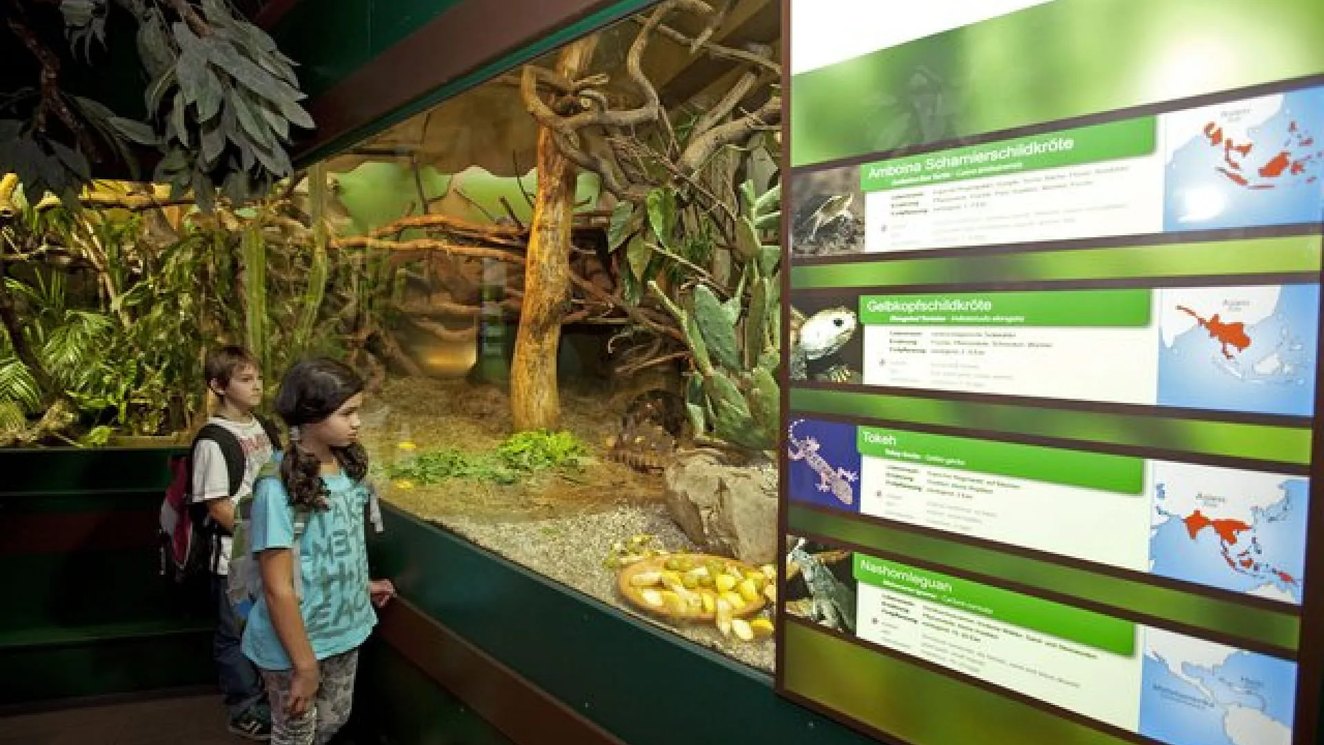 Kinder betrachten ein Terrarium mit Pflanzen und Tieren