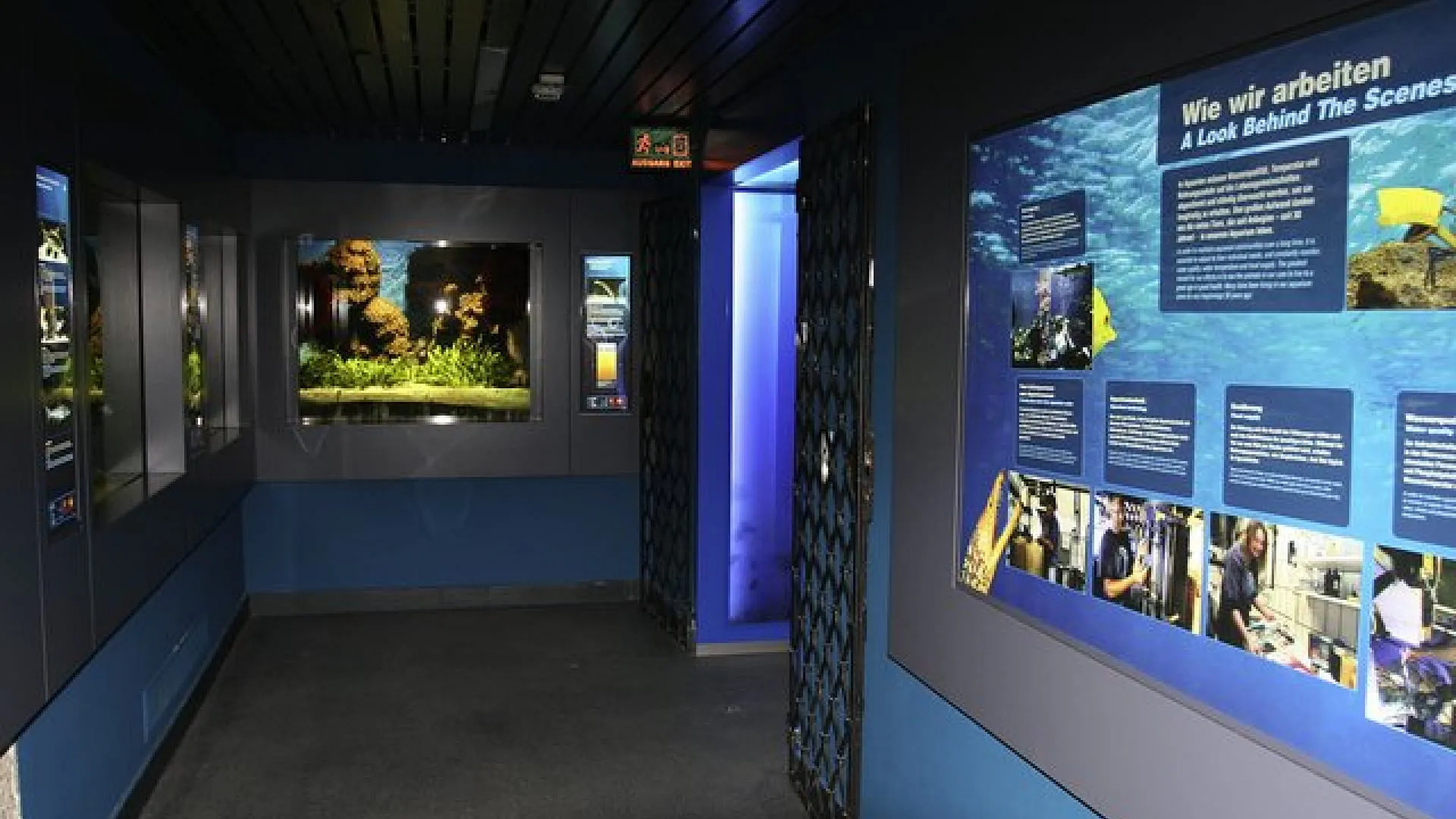 Ausstellungsgang mit Bildern und Informationen zu Natur